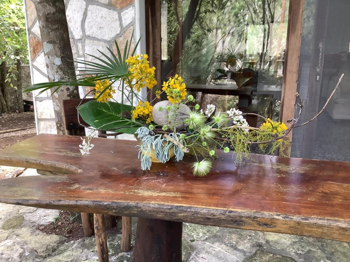 Escarabajo Rojo Bed and Breakfast Τουλούμ Εξωτερικό φωτογραφία
