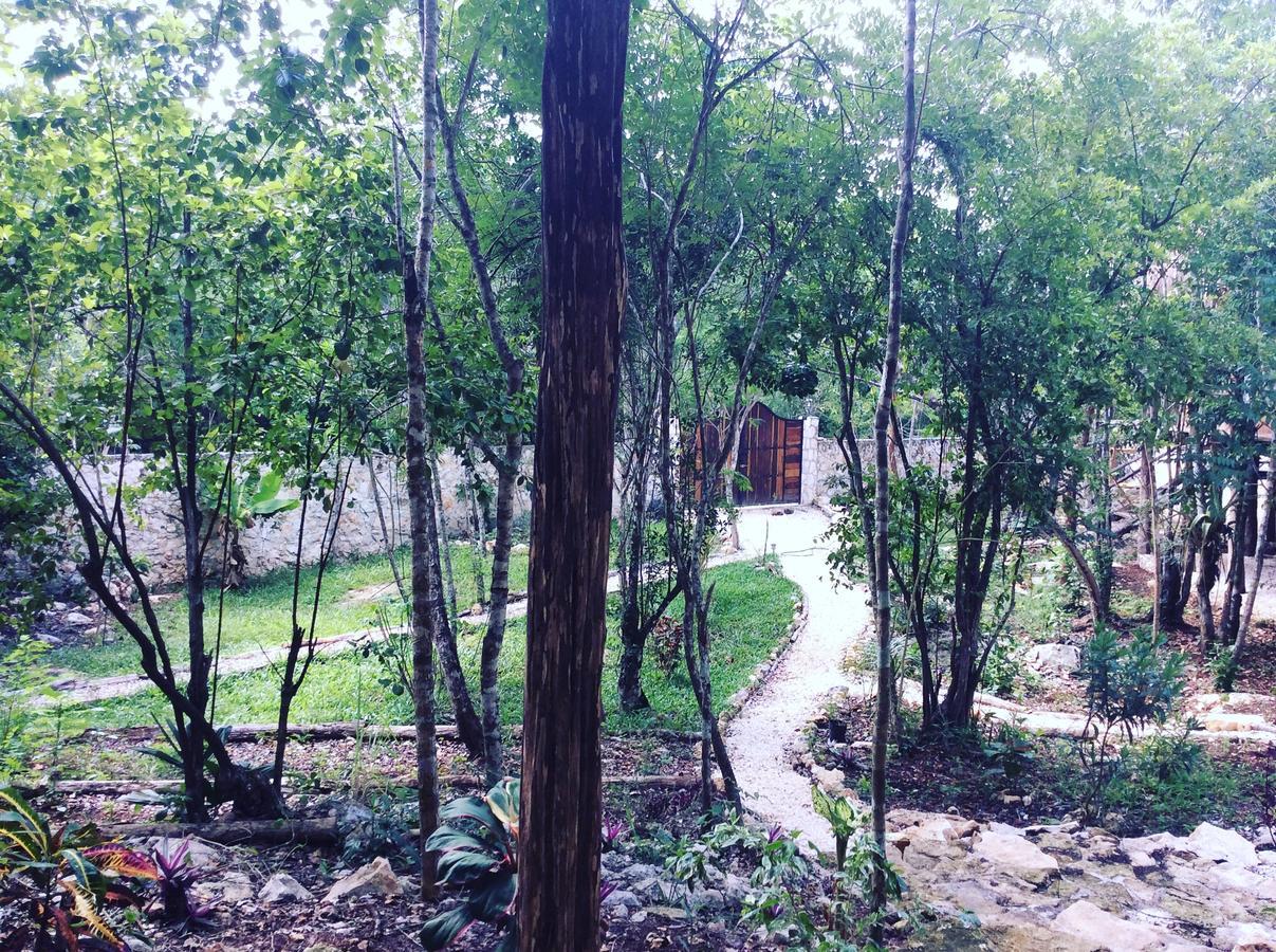 Escarabajo Rojo Bed and Breakfast Τουλούμ Εξωτερικό φωτογραφία