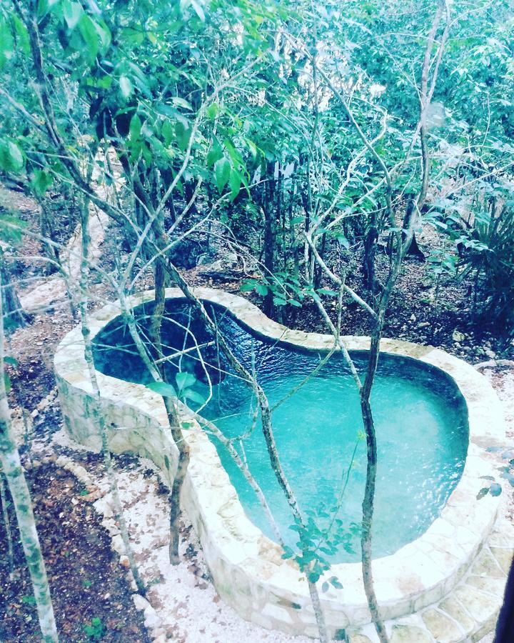 Escarabajo Rojo Bed and Breakfast Τουλούμ Εξωτερικό φωτογραφία