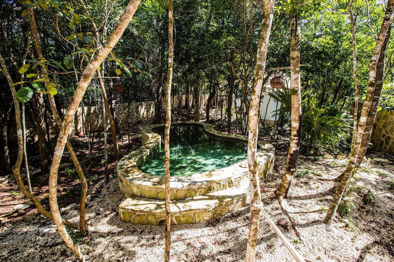 Escarabajo Rojo Bed and Breakfast Τουλούμ Εξωτερικό φωτογραφία