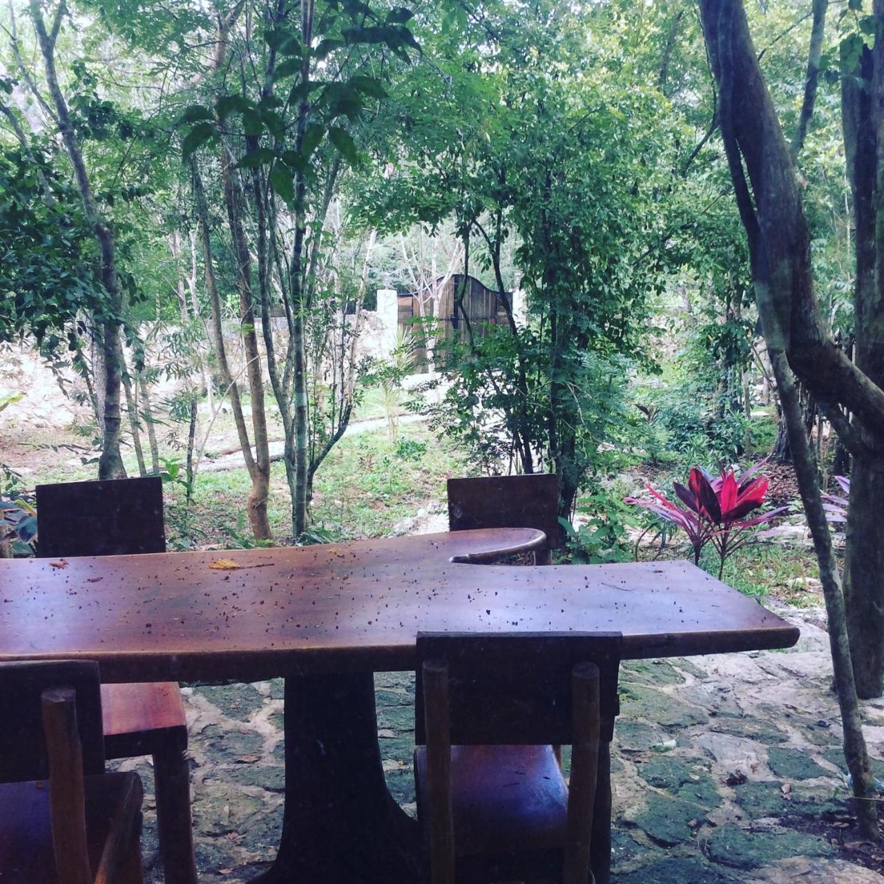 Escarabajo Rojo Bed and Breakfast Τουλούμ Εξωτερικό φωτογραφία